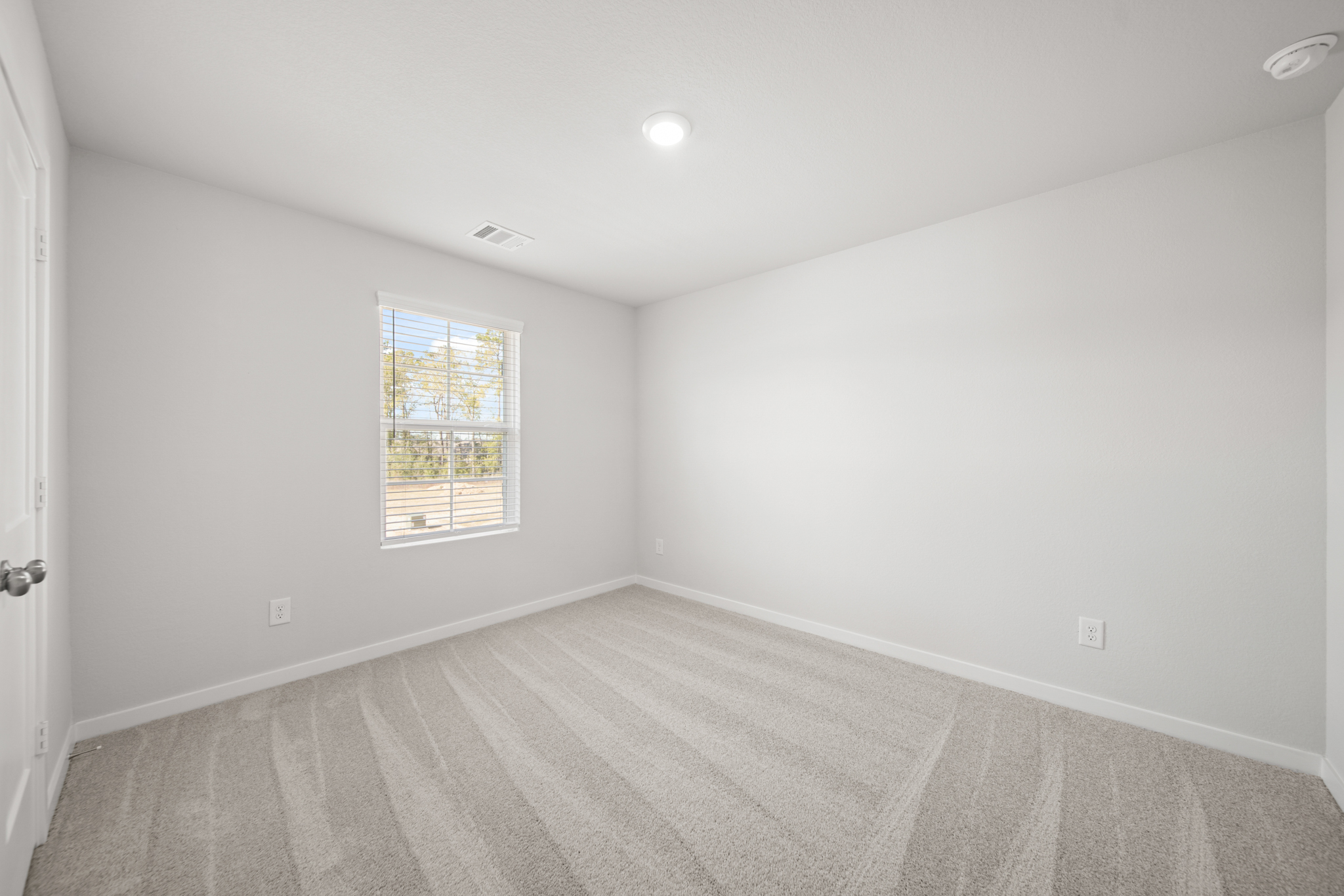 A room with a window and a rug.