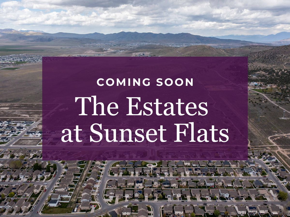 A large city landscape.